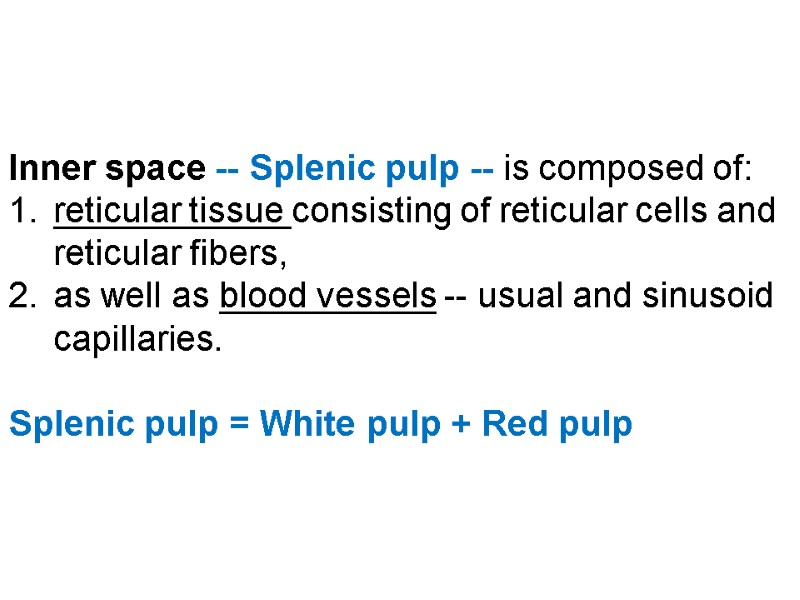 Inner space -- Splenic pulp -- is composed of:  reticular tissue consisting of